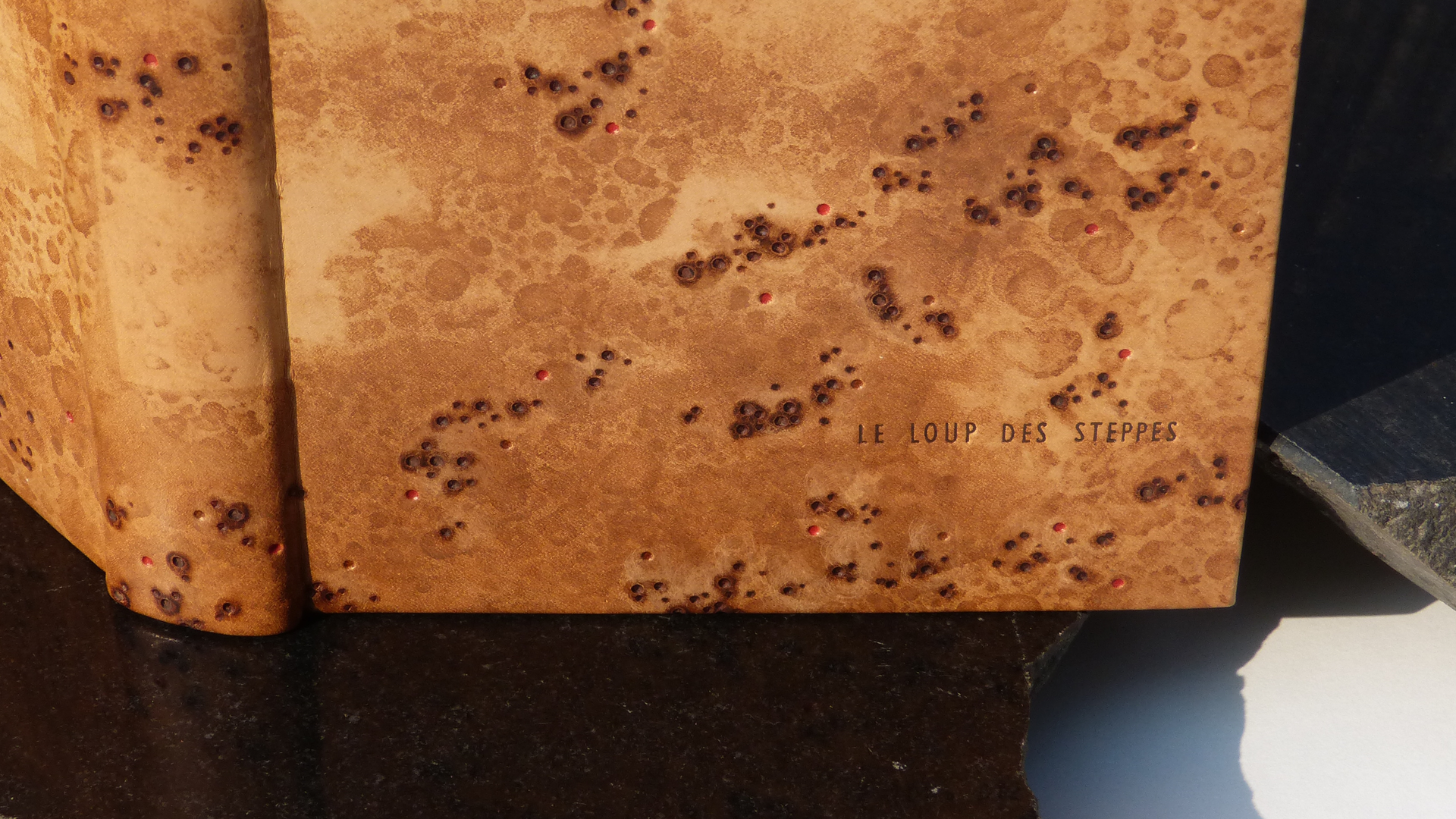 1Le loup des Steppes copie