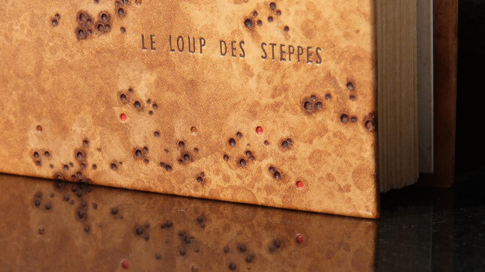 2Le loup des Steppes copie